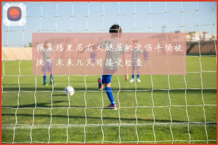 佩莱格里尼右大腿屈肌受伤半场被换下未来几天将接受检查